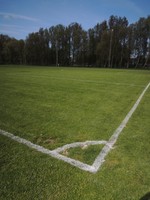 Sportveld afbeelding