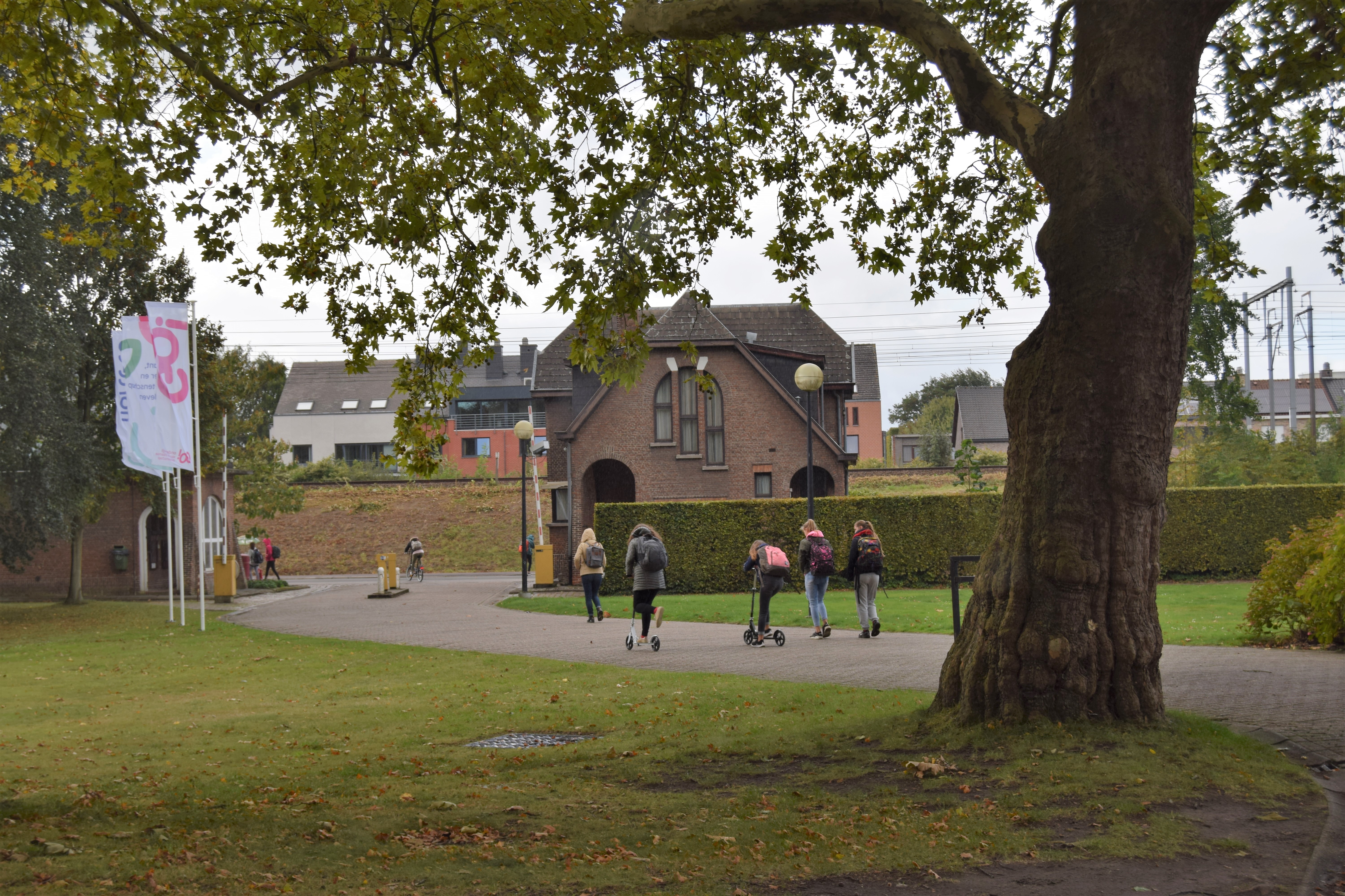 Onderwijsinstellingen afbeelding